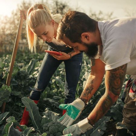 Agriculture - two people in a vegetable garden