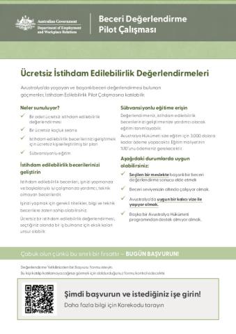 TURKISH-2169 Skills Assessment - Pilot 3 Fact Sheet_V0.2.pdf