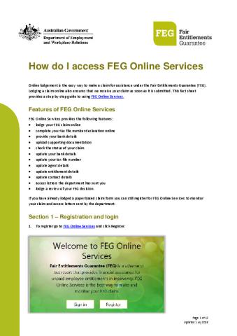 How do I access FEG Online Services factsheet.pdf