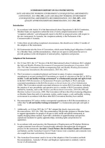 Submission Report on ILO Instruments C191 R207 R208.pdf