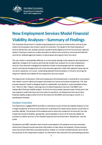 NESM Financial Viability Analysis_Summary of Findings.pdf