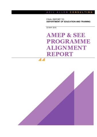 see-amep_alignment_report.pdf