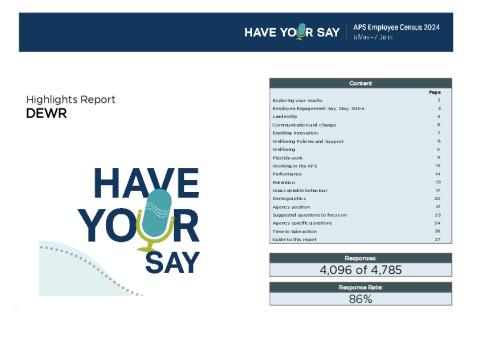 APS33313 - DEWR - Census highlights report.pdf