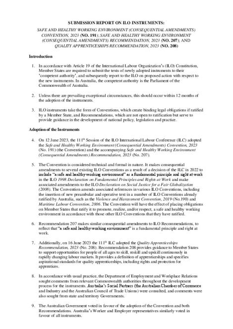 Submission Report on ILO Instruments C191 R207 R208.pdf