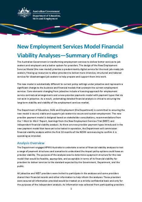 NESM Financial Viability Analysis_Summary of Findings.pdf